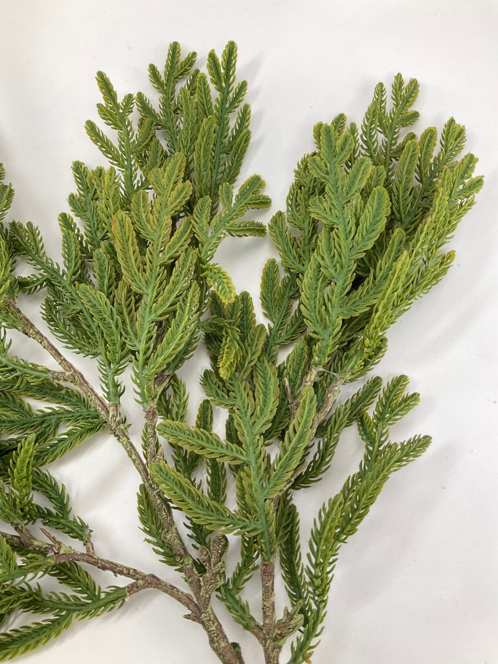 Soft Touch, Pine, Pine Spray - Greenery Market28613