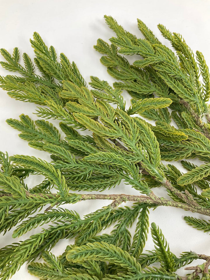Soft Touch, Pine, Pine Spray - Greenery Market28613