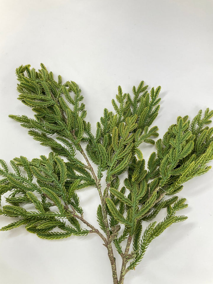 Soft Touch, Pine, Pine Spray - Greenery Market28613