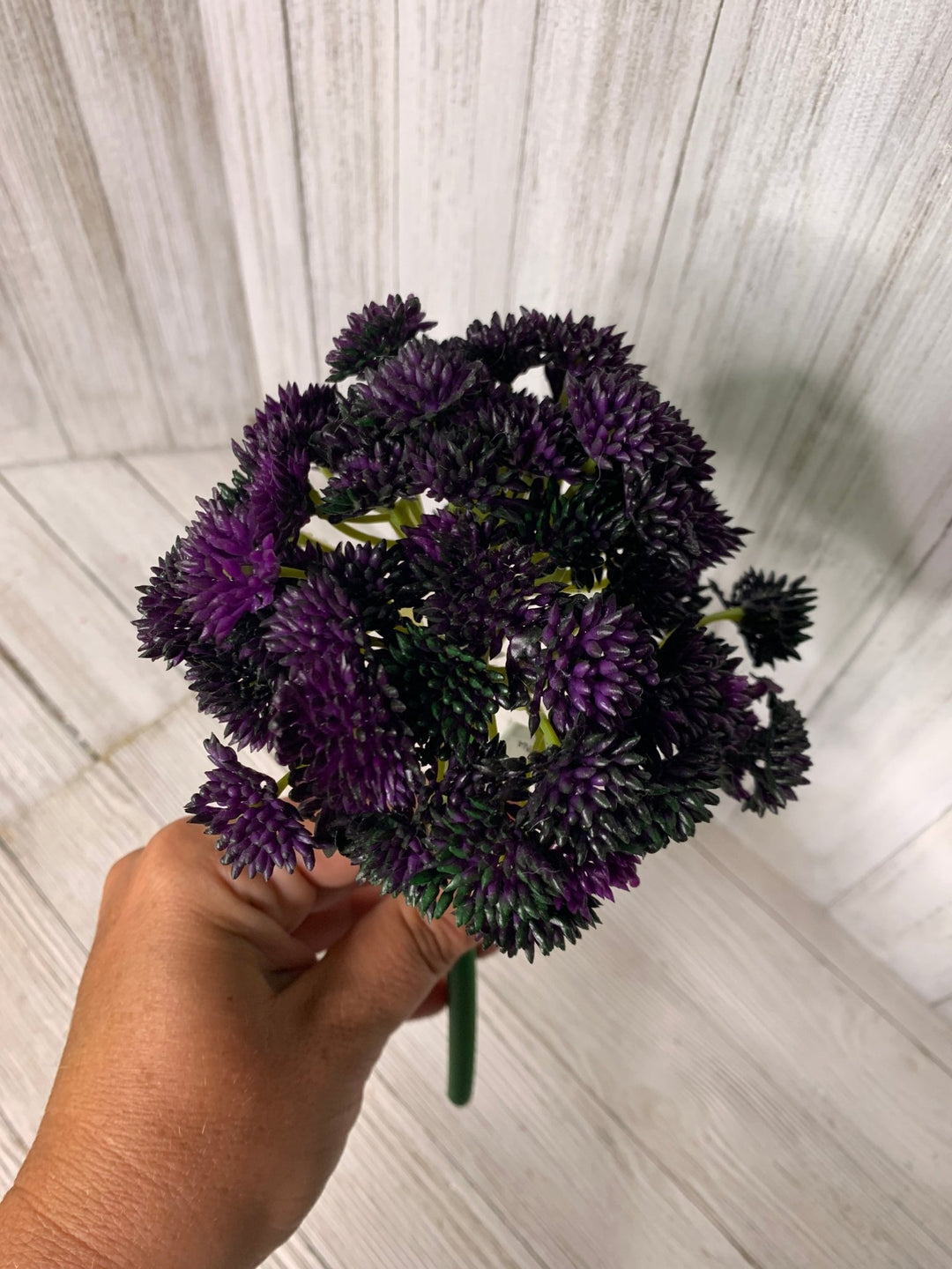 succulents, dark purple sedum ball - Greenery MarketArtificial SucculentsMtf