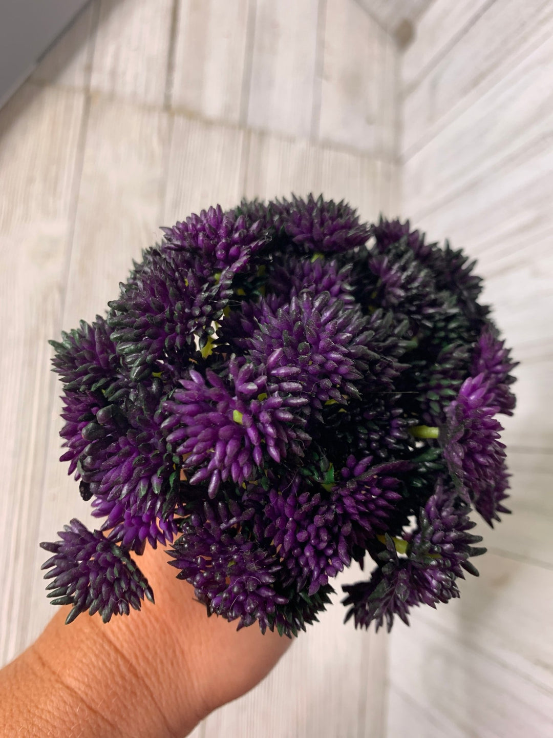 succulents, dark purple sedum ball - Greenery MarketArtificial SucculentsMtf