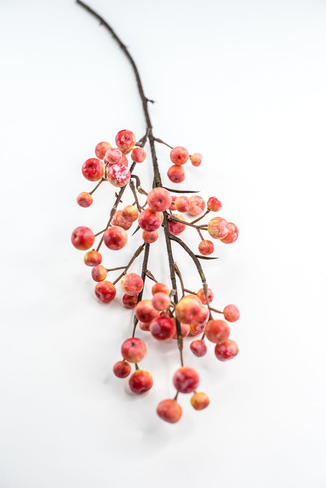 Summer crabapple spray coral yellow - Greenery MarketFSB420 - OR