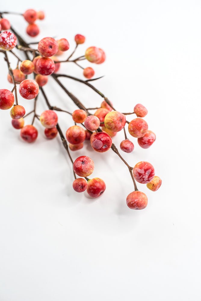 Summer crabapple spray coral yellow - Greenery MarketFSB420 - OR