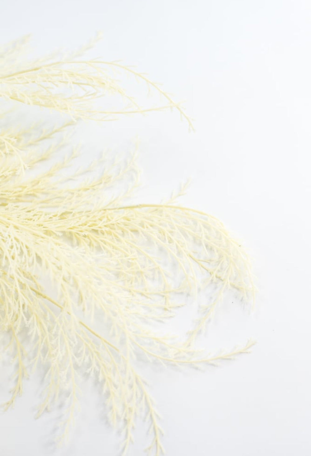 Tail fern spray - cream - Greenery Marketartificial flowers84099 - WT