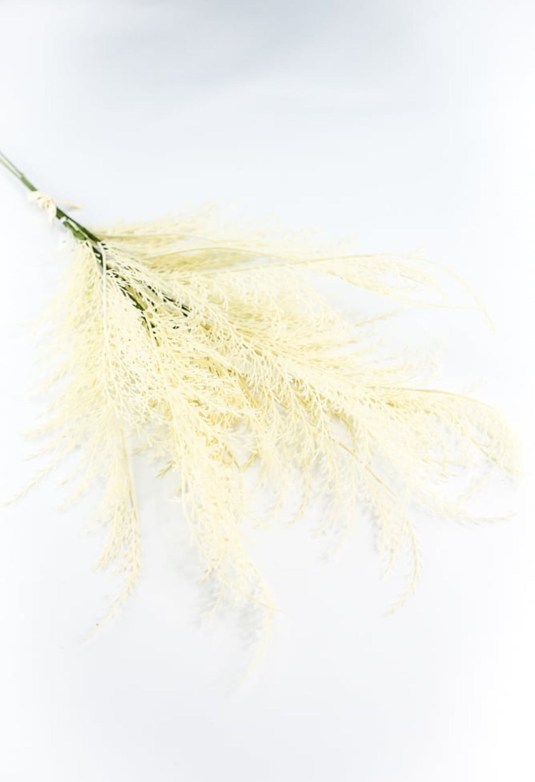 Tail fern spray - cream - Greenery Marketartificial flowers84099 - WT
