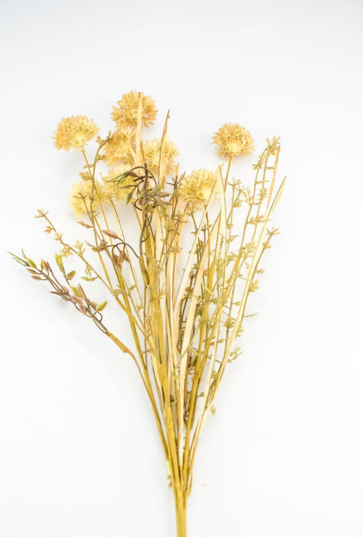 Thistle and grasses filler bush - allium - beige cream - Greenery Marketgreenery56514BE