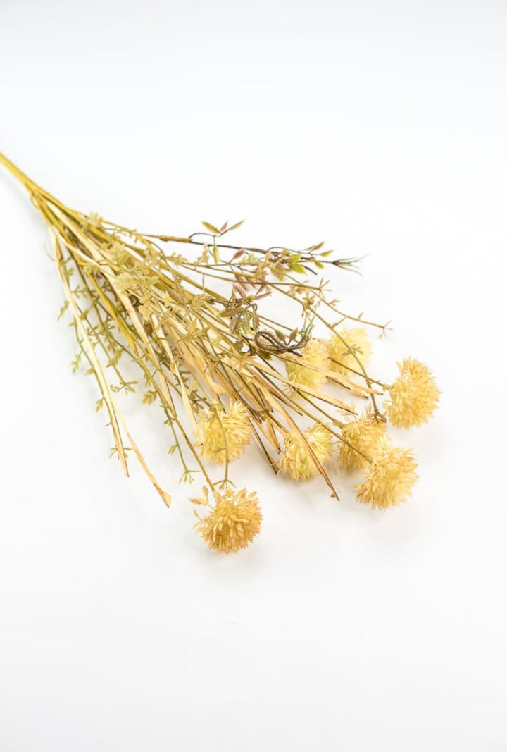 Thistle and grasses filler bush - allium - beige cream - Greenery Marketgreenery56514BE