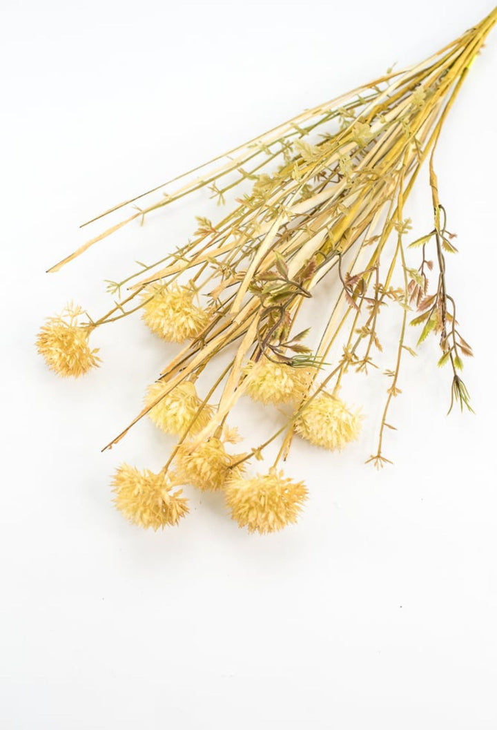 Thistle and grasses filler bush - allium - beige cream - Greenery Marketgreenery56514BE