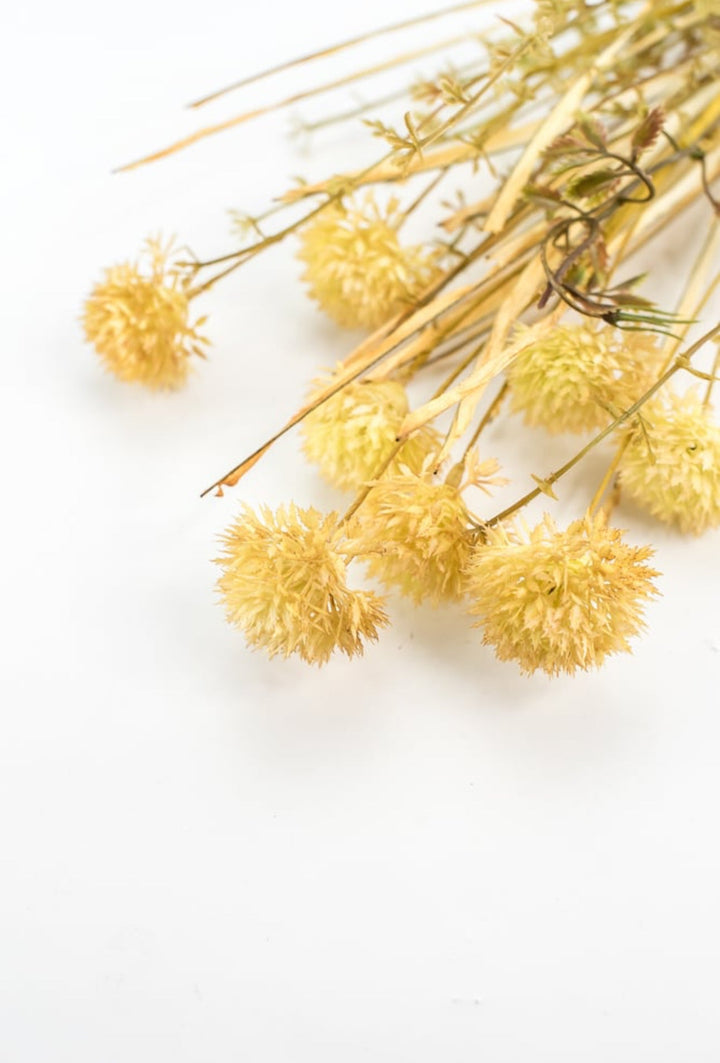 Thistle and grasses filler bush - allium - beige cream - Greenery Marketgreenery56514BE