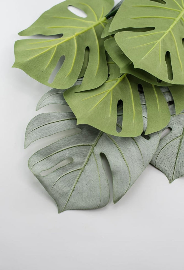 Tropical Turtle leaves plant bush - Greenery Marketgreenery25225