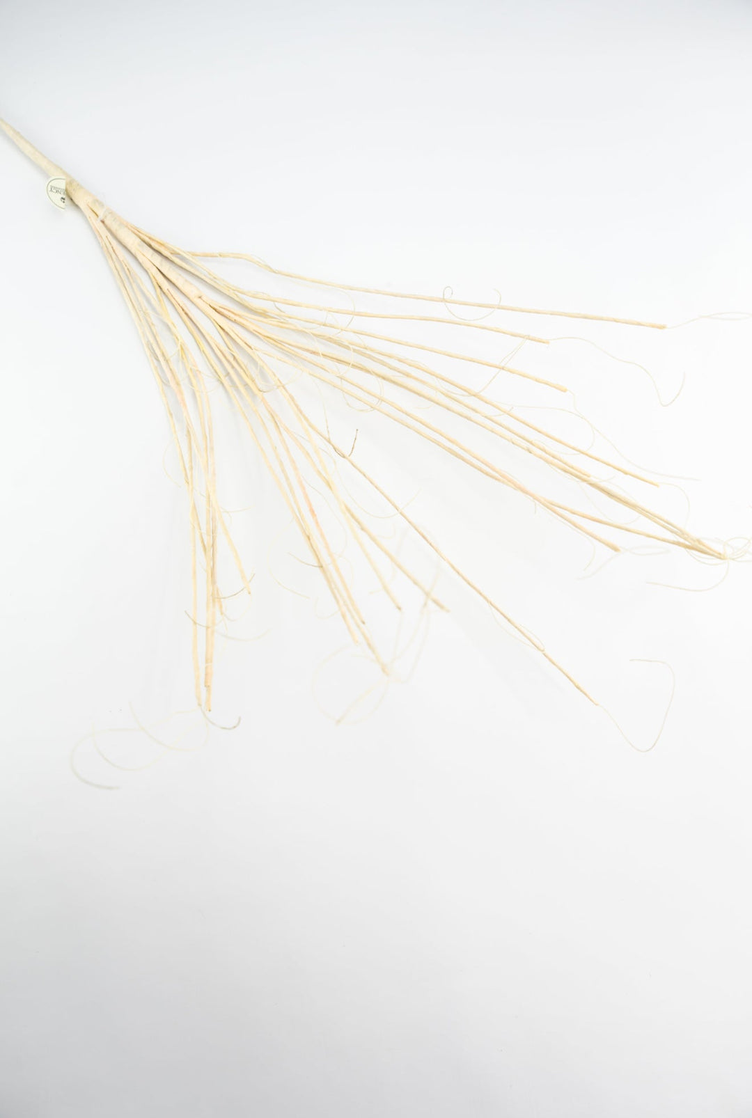 Twig spray - cream beige - Greenery MarketMT25620 CRM