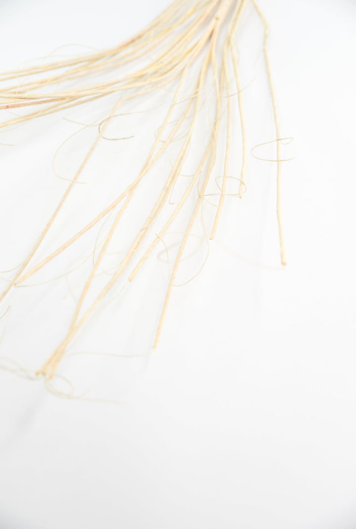 Twig spray - cream beige - Greenery MarketMT25620 CRM