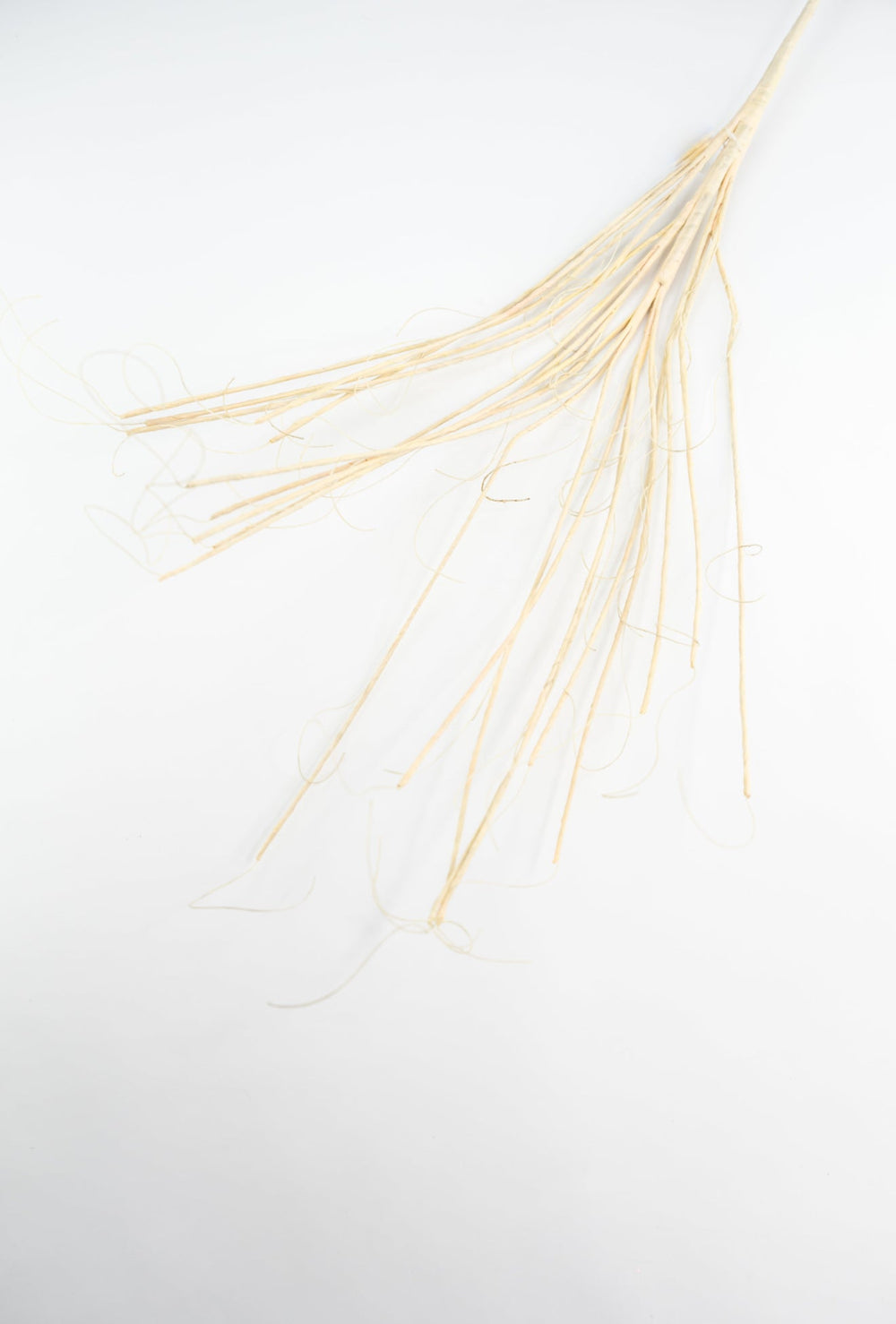 Twig spray - cream beige - Greenery MarketMT25620 CRM