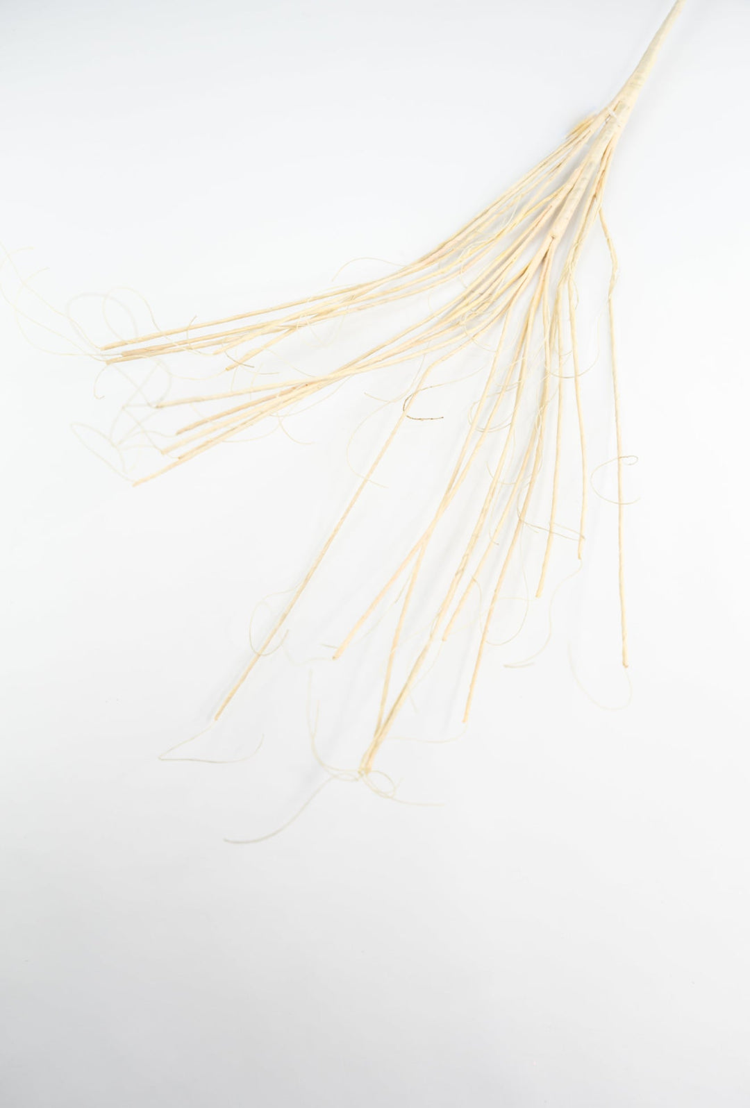 Twig spray - cream beige - Greenery MarketMT25620 CRM