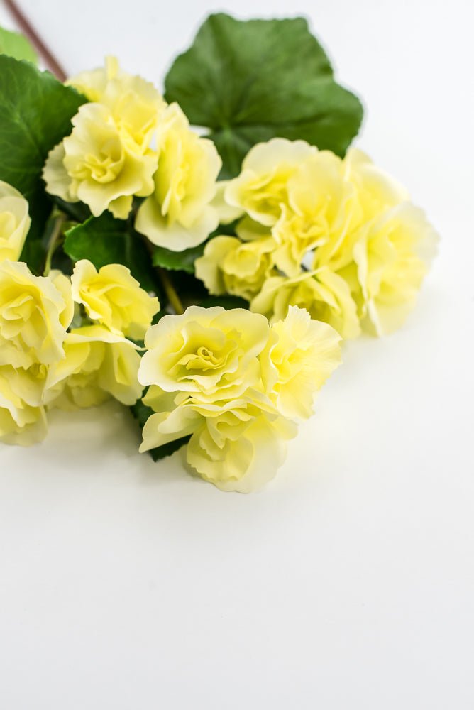 UV protected begonia bush, yellow - Greenery MarketMTF24522 YELL