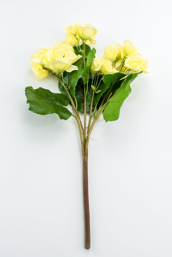 UV protected begonia bush, yellow - Greenery MarketMTF24522 YELL