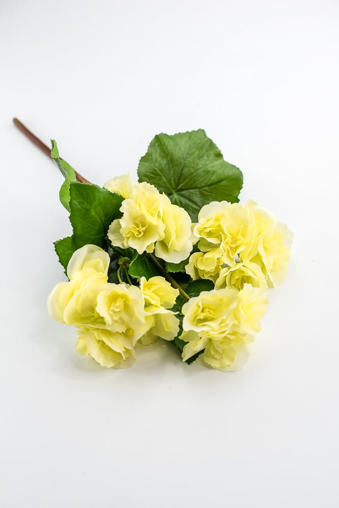 UV protected begonia bush, yellow - Greenery MarketMTF24522 YELL