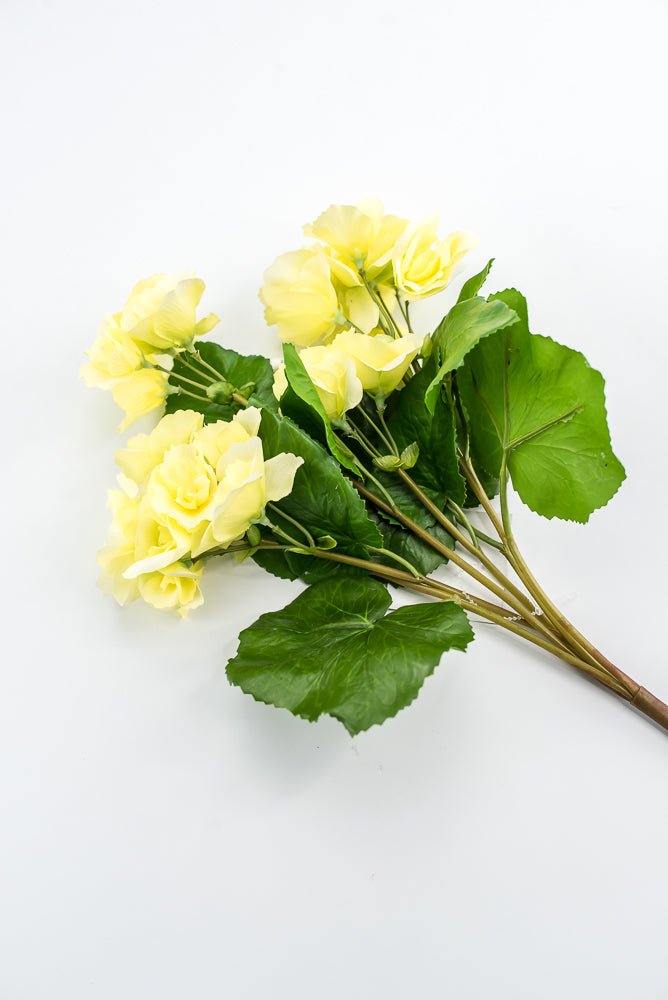 UV protected begonia bush, yellow - Greenery MarketMTF24522 YELL