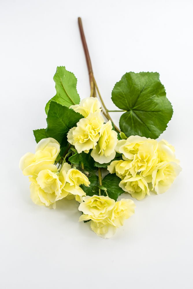 UV protected begonia bush, yellow - Greenery MarketMTF24522 YELL