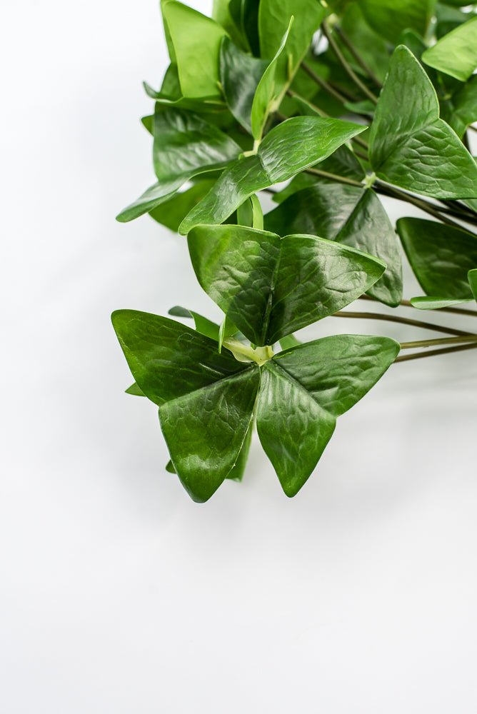 UV Protected Garden Oxalis Bush - Green - Greenery MarketMTF24535 GRN