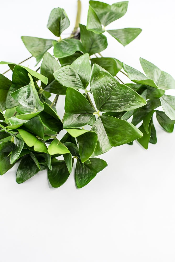 UV Protected Garden Oxalis Bush - Green - Greenery MarketMTF24535 GRN