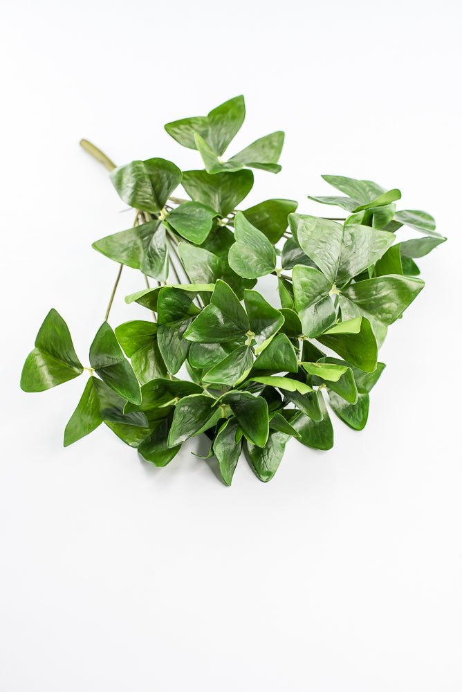 UV Protected Garden Oxalis Bush - Green - Greenery MarketMTF24535 GRN