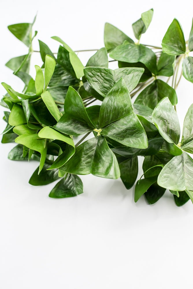 UV Protected Garden Oxalis Bush - Green - Greenery MarketMTF24535 GRN