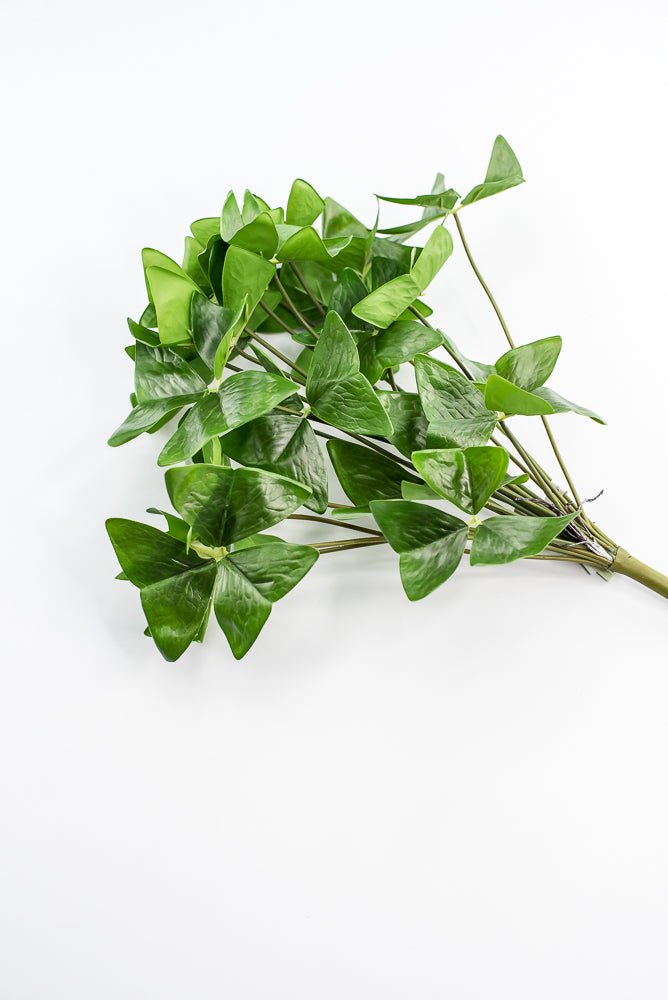 UV Protected Garden Oxalis Bush - Green - Greenery MarketMTF24535 GRN