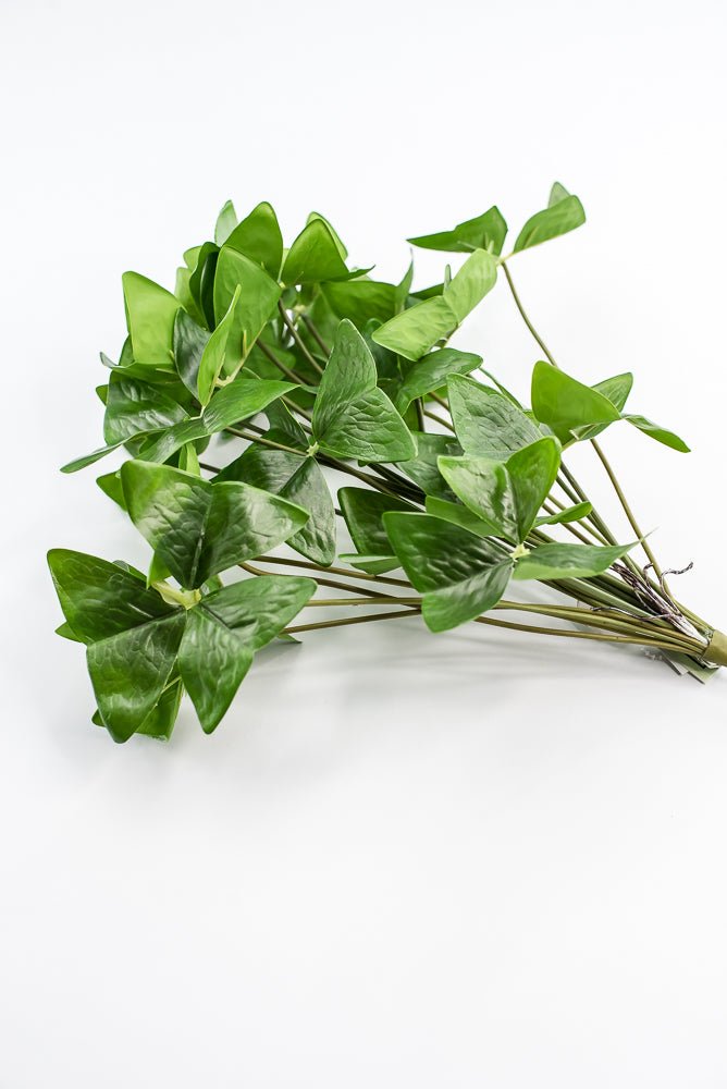 UV Protected Garden Oxalis Bush - Green - Greenery MarketMTF24535 GRN