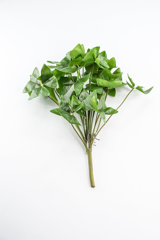 UV Protected Garden Oxalis Bush - Green - Greenery MarketMTF24535 GRN