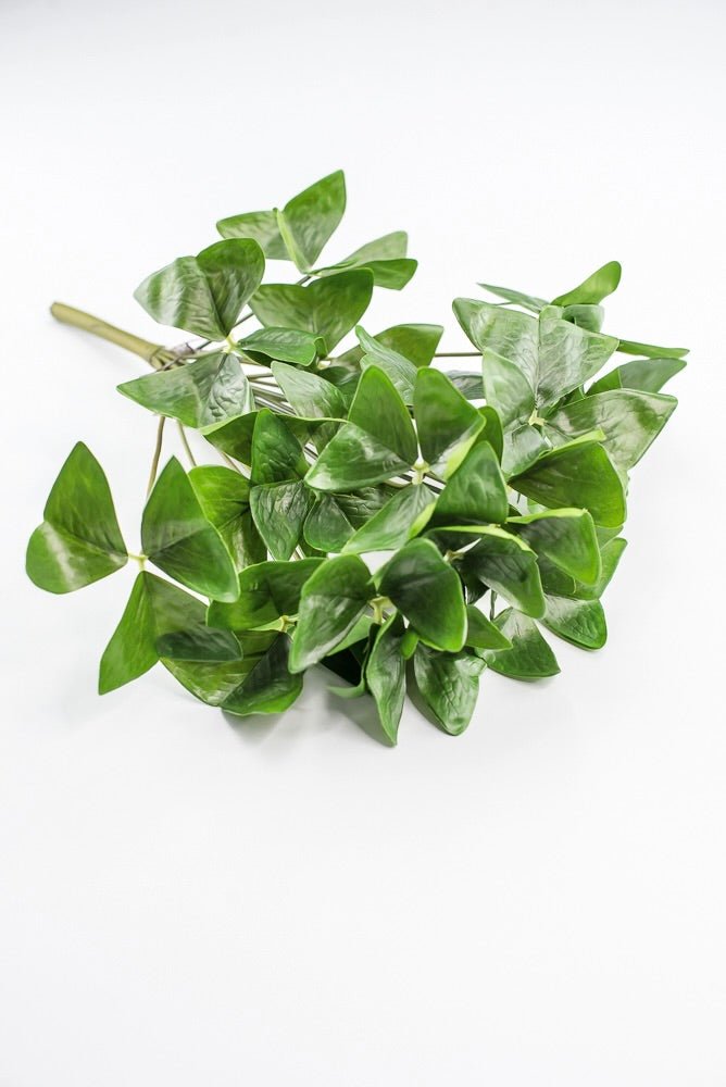 UV Protected Garden Oxalis Bush - Green - Greenery MarketMTF24535 GRN