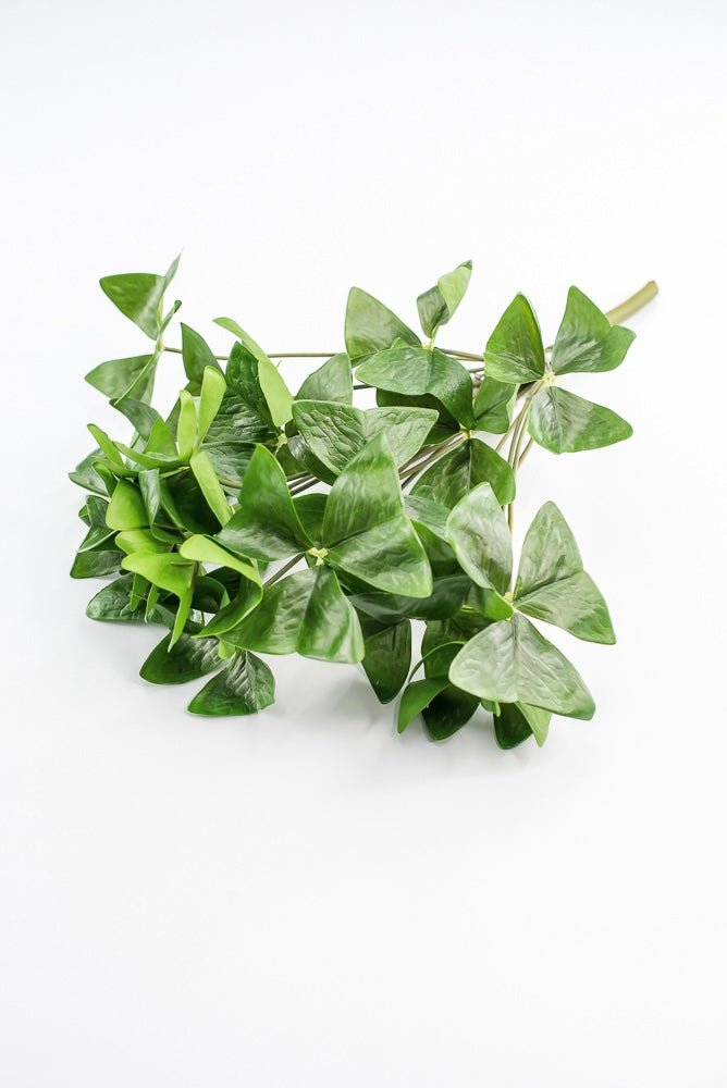 UV Protected Garden Oxalis Bush - Green - Greenery MarketMTF24535 GRN