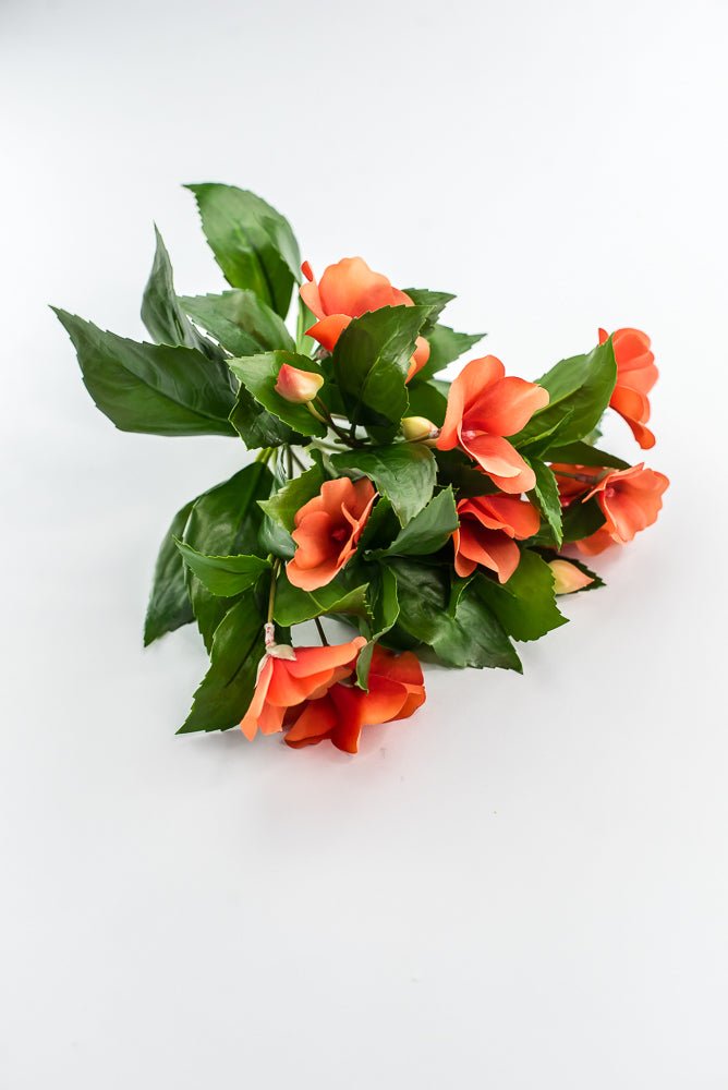 UV protected impatient bush, Orange - Greenery MarketMTF24523 ORNG