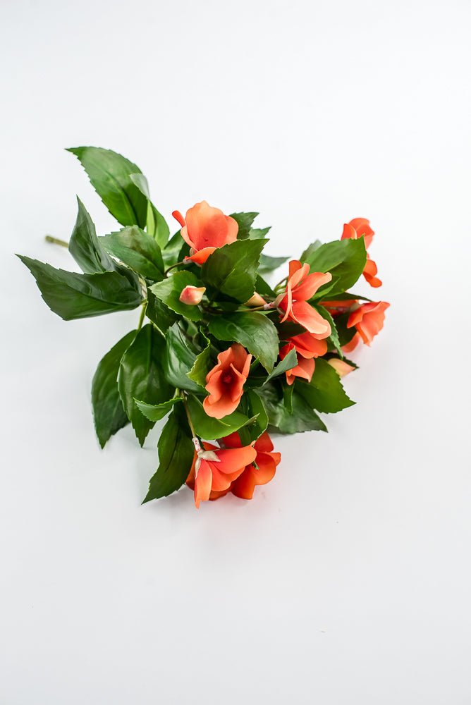 UV protected impatient bush, Orange - Greenery MarketMTF24523 ORNG