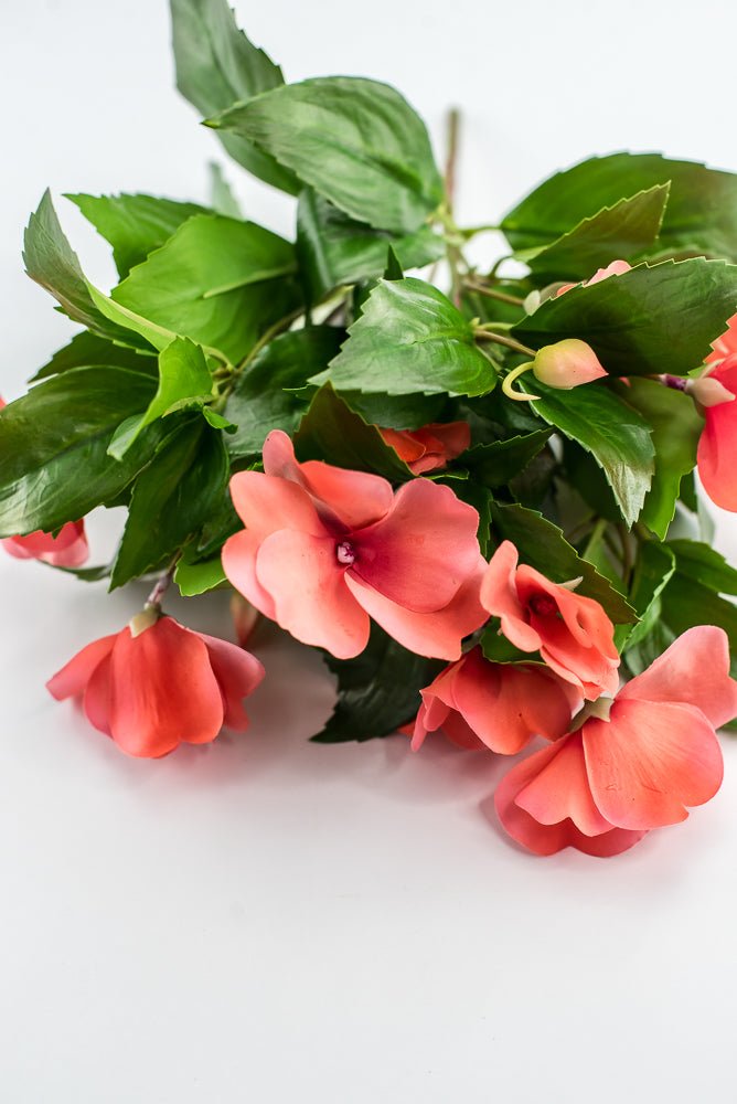 UV protected impatient bush, salmon - Greenery MarketMTF24523 SALP