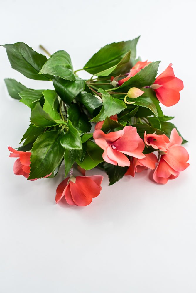 UV protected impatient bush, salmon - Greenery MarketMTF24523 SALP