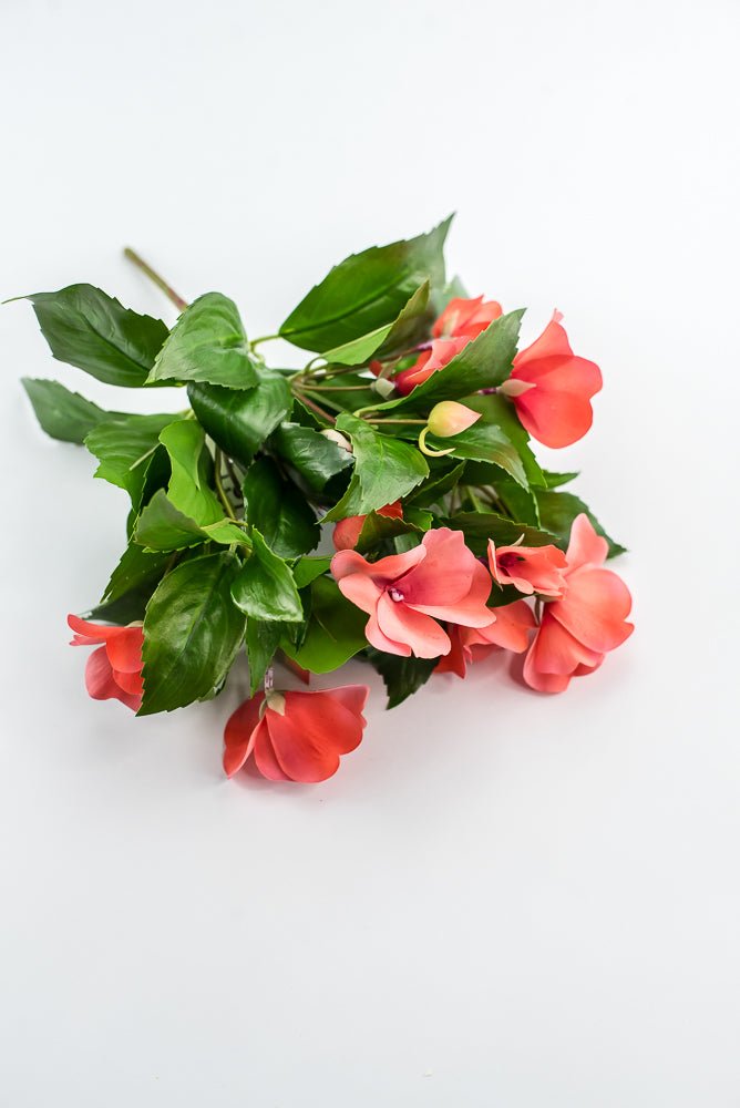 UV protected impatient bush, salmon - Greenery MarketMTF24523 SALP