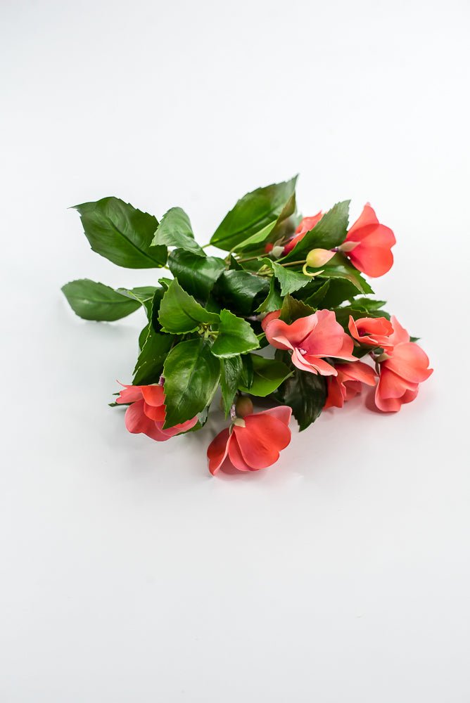 UV protected impatient bush, salmon - Greenery MarketMTF24523 SALP