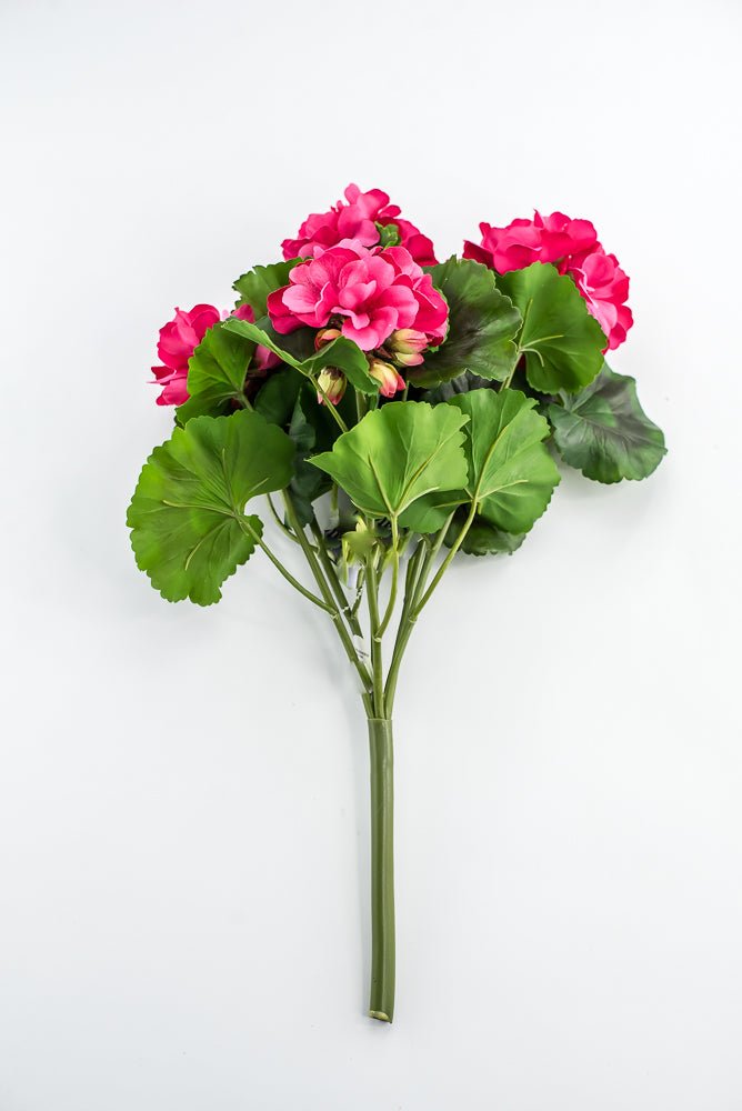 UV Protected Outdoor Geranium Bush, Hot Pink - Greenery MarketMTF24525 HTPK