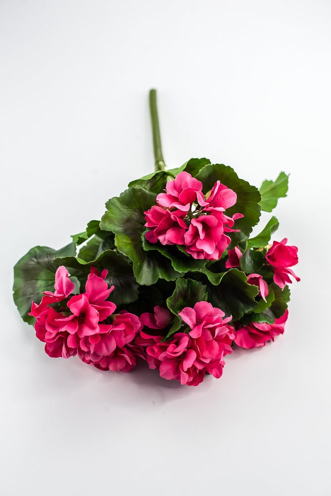 UV Protected Outdoor Geranium Bush, Hot Pink - Greenery MarketMTF24525 HTPK