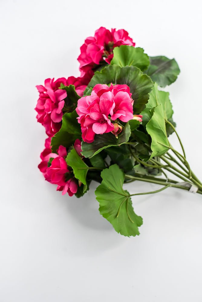 UV Protected Outdoor Geranium Bush, Hot Pink - Greenery MarketMTF24525 HTPK