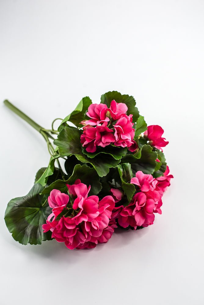 UV Protected Outdoor Geranium Bush, Hot Pink - Greenery MarketMTF24525 HTPK