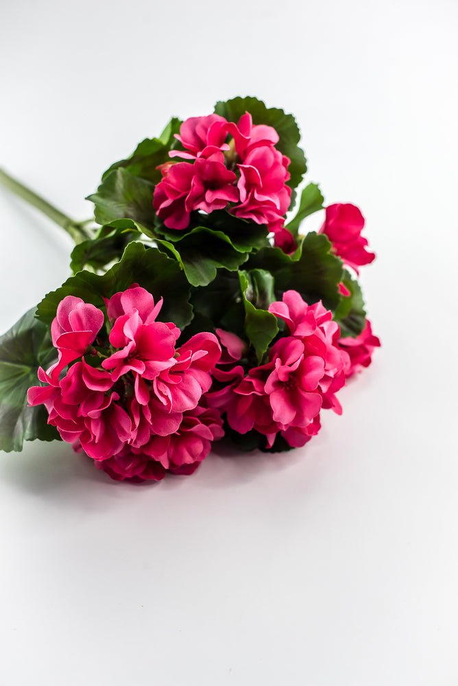 UV Protected Outdoor Geranium Bush, Hot Pink - Greenery MarketMTF24525 HTPK