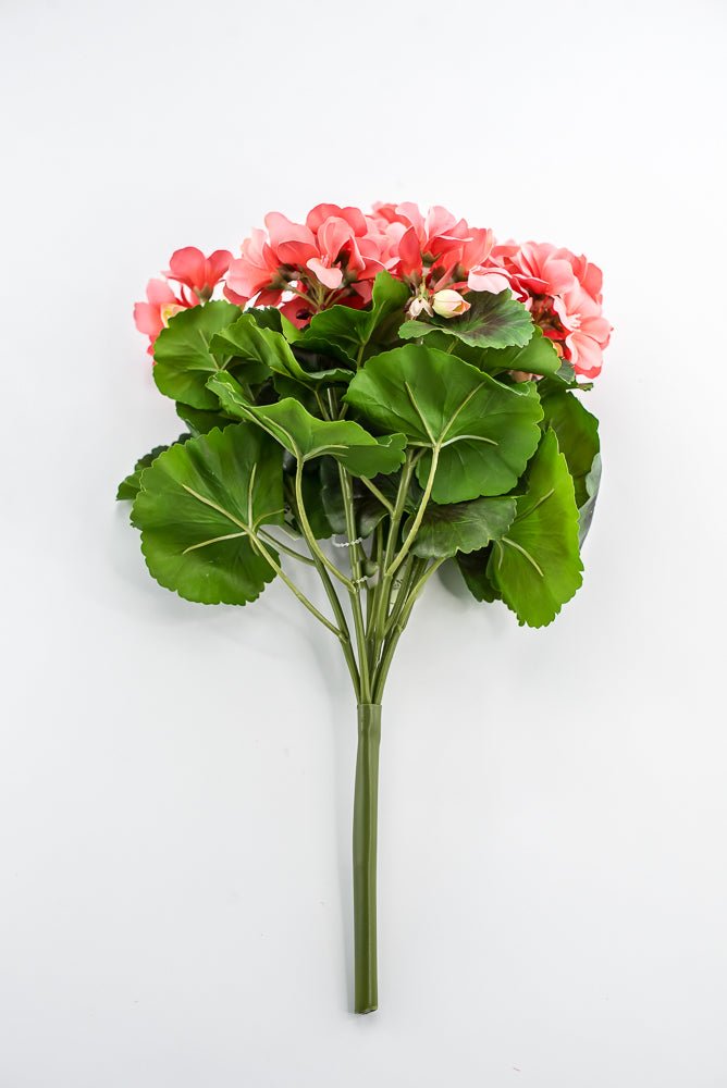 UV Protected Outdoor Geranium Bush, Salmon - Greenery MarketMTF24525 SALP