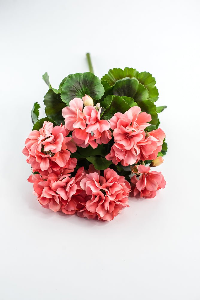 UV Protected Outdoor Geranium Bush, Salmon - Greenery MarketMTF24525 SALP