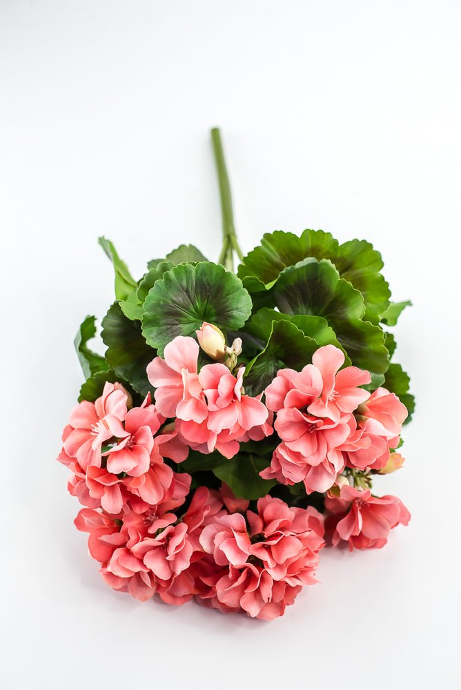 UV Protected Outdoor Geranium Bush, Salmon - Greenery MarketMTF24525 SALP