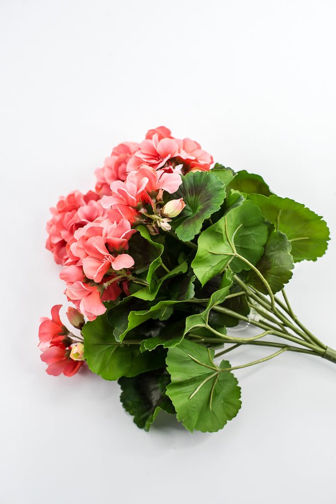 UV Protected Outdoor Geranium Bush, Salmon - Greenery MarketMTF24525 SALP