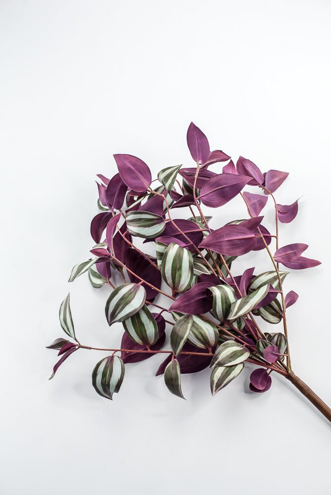 UV protected Tradescanthia Bush - Green - Greenery MarketMTF24534 PLGR