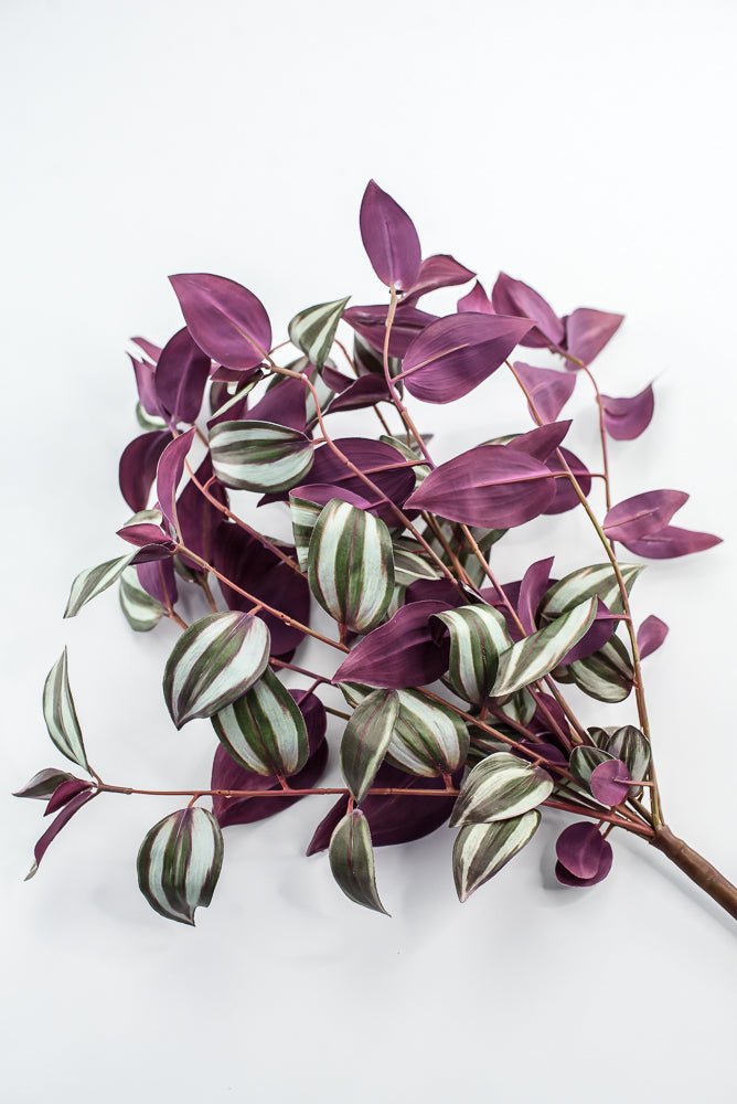 UV protected Tradescanthia Bush - Green - Greenery MarketMTF24534 PLGR