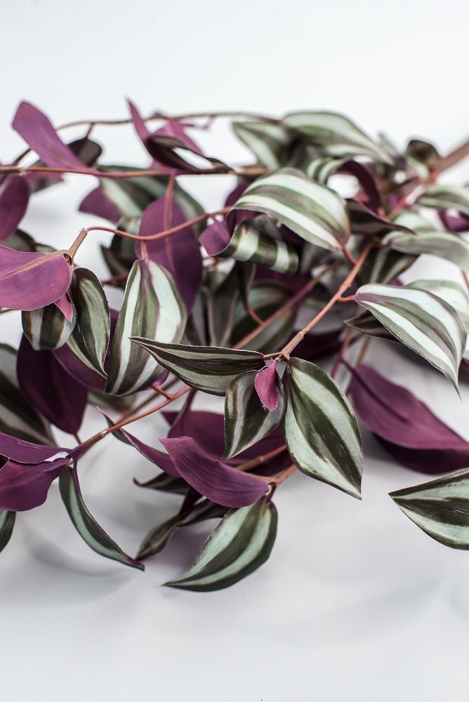 UV protected Tradescanthia Bush - Green - Greenery MarketMTF24534 PLGR